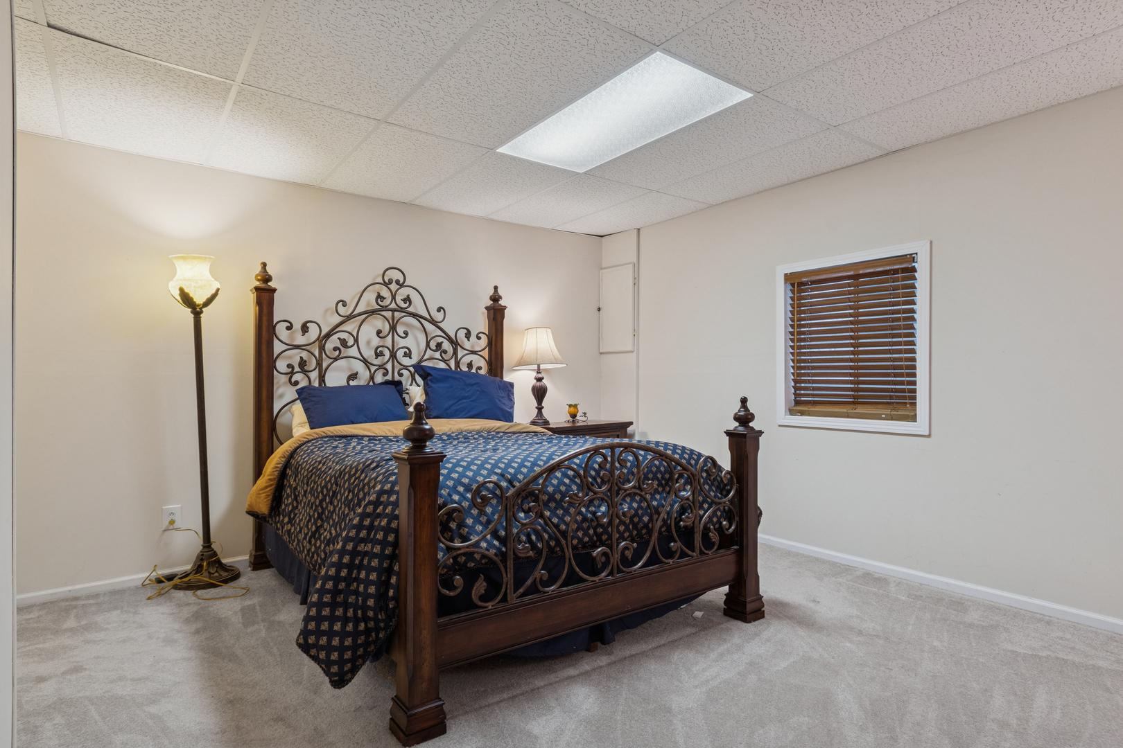 21409 W Douglas Lane, Plainfield, IL 60544