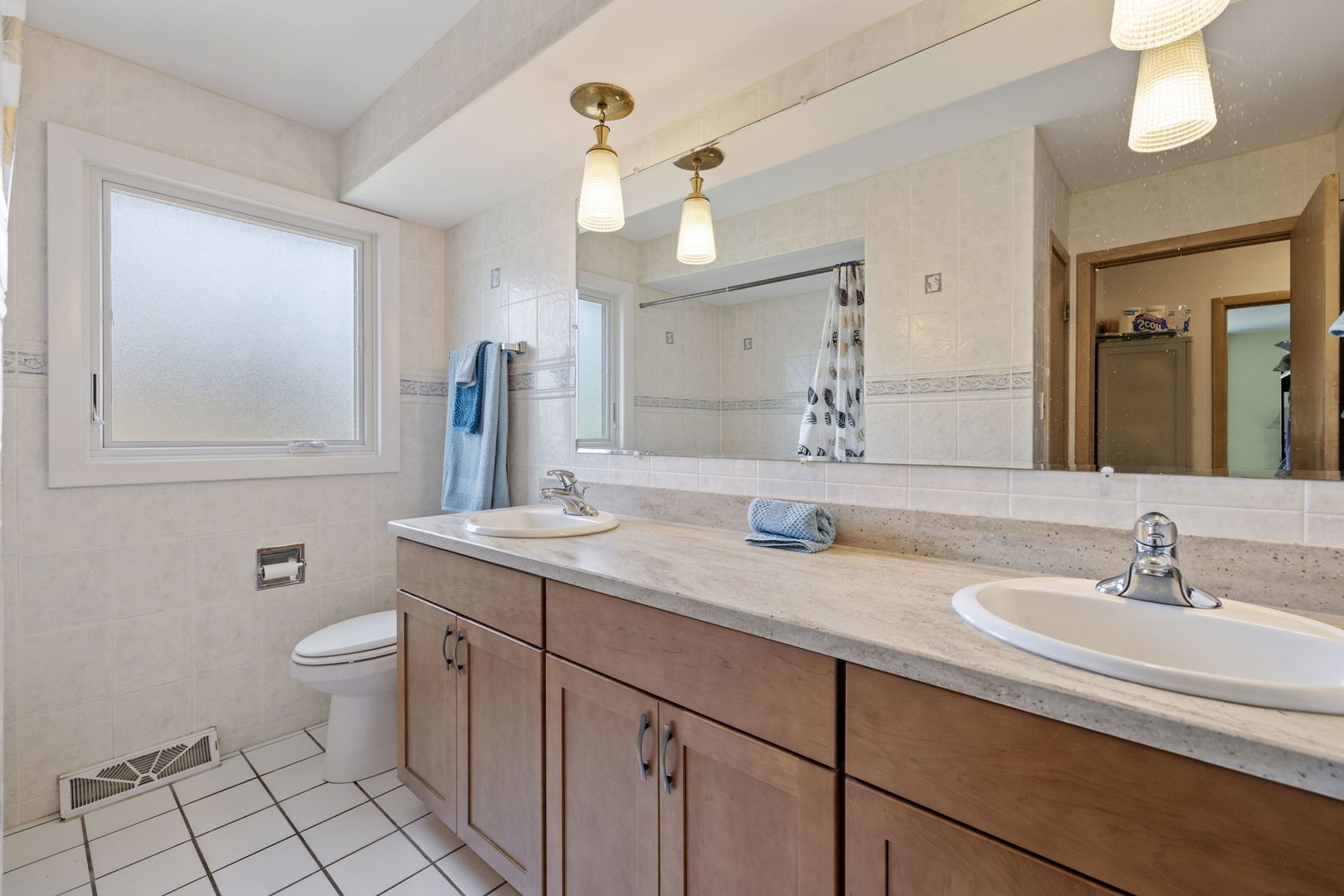 10100 Alice Court, Oak Lawn, IL 60453