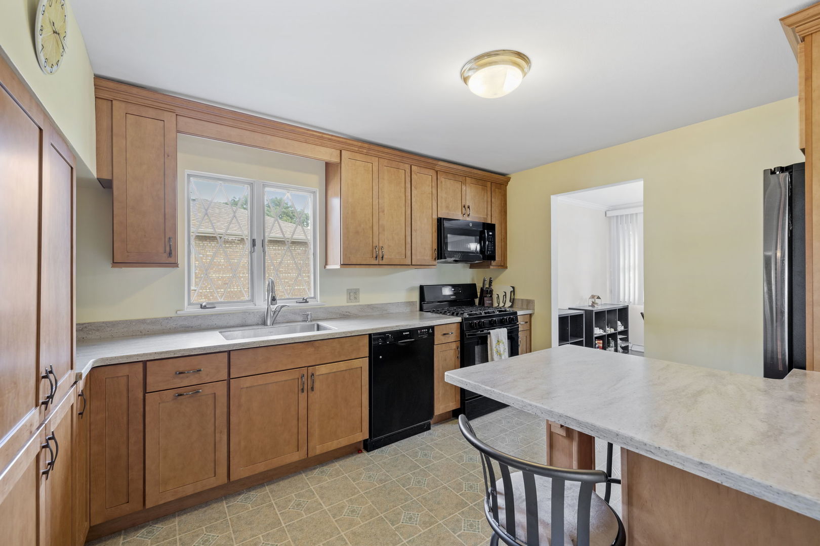 10100 Alice Court, Oak Lawn, IL 60453