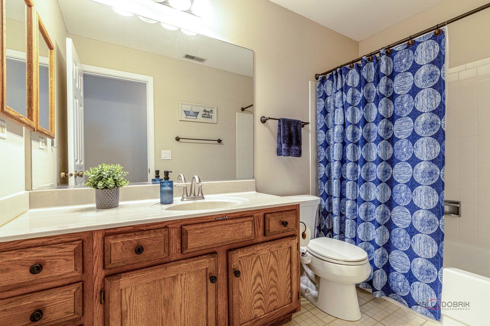1405 Apricot Court #D, Mount Prospect, IL 60056