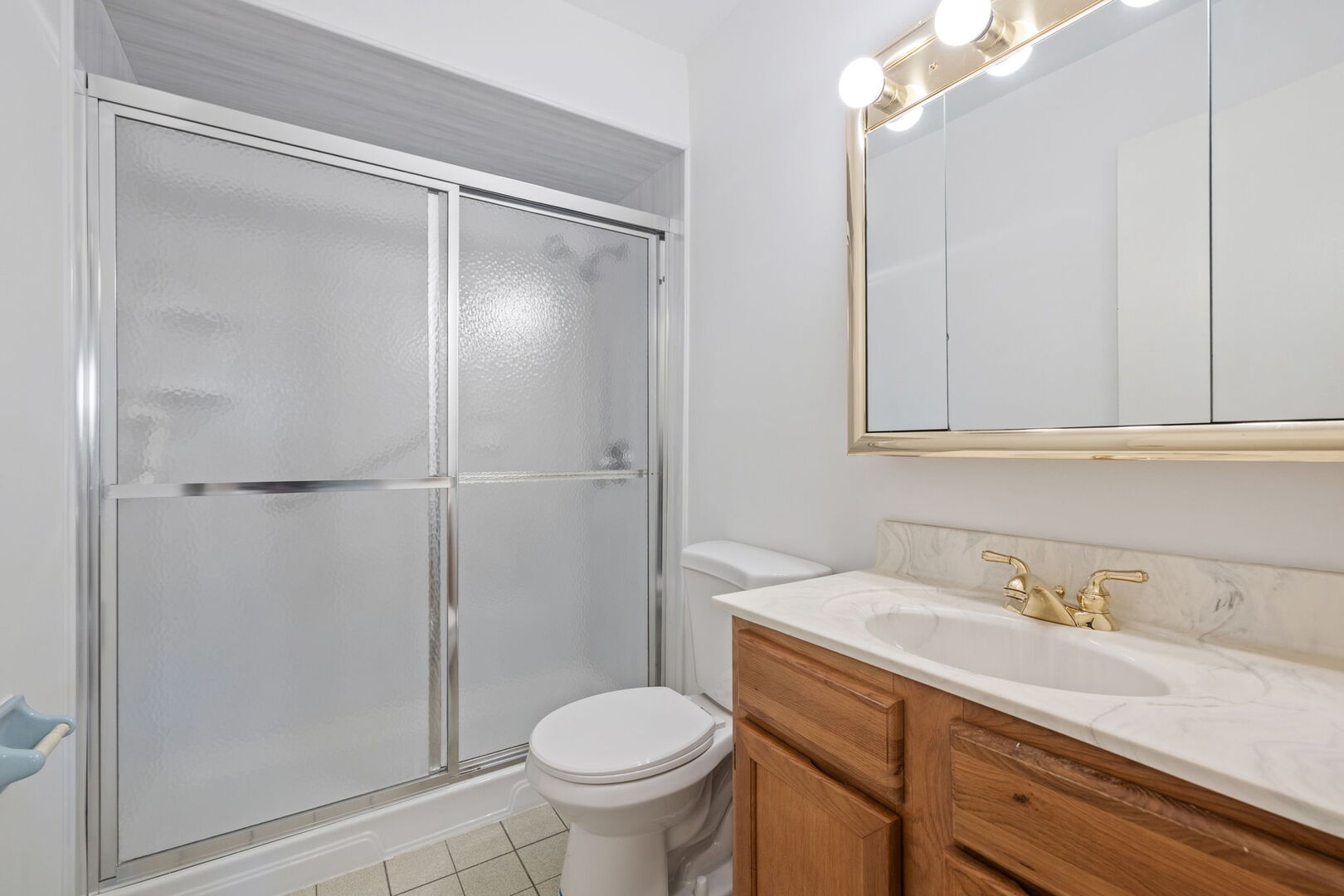 1501 Darien Lake Drive #305, Darien, IL 60561