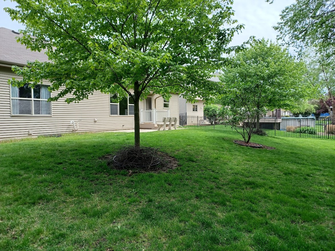 24463 Tufton Street, Plainfield, IL 60585