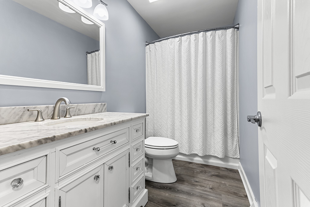 24241 W Hummingbird Drive, Channahon, IL 60410