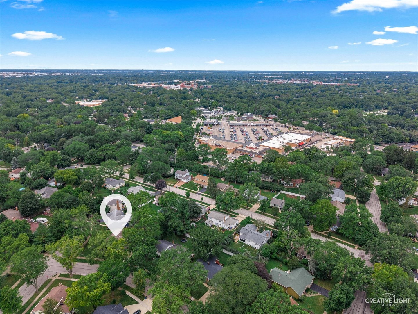 165 Tamarack Avenue, Naperville, IL 60540