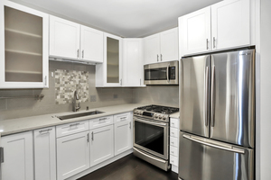21 W Chestnut Street #1202, Chicago, IL 60610