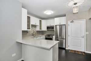 21 W Chestnut Street #1202, Chicago, IL 60610