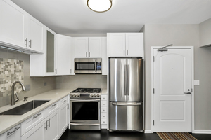 21 W Chestnut Street #1202, Chicago, IL 60610
