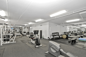 21 W Chestnut Street #1202, Chicago, IL 60610