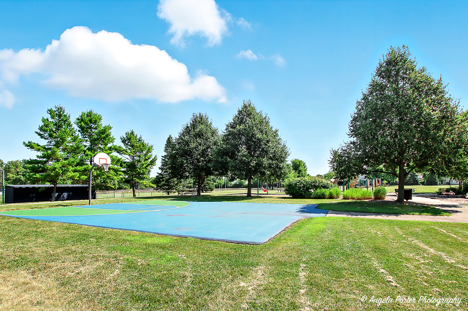 448 N Patriot Drive, Hainesville, IL 60030