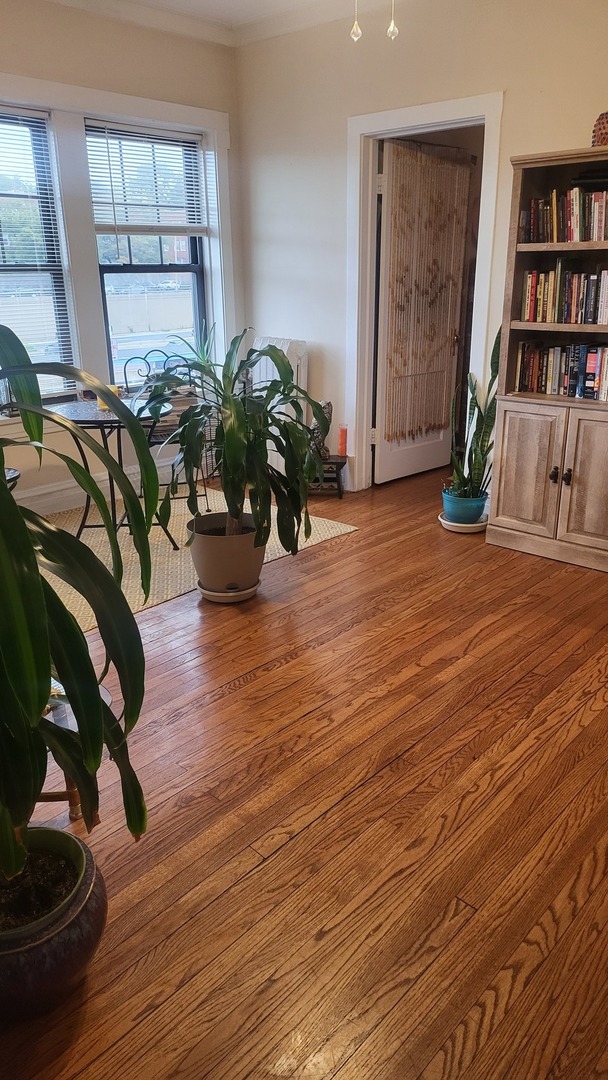 920 Wesley Avenue #1, Oak Park, IL 60304