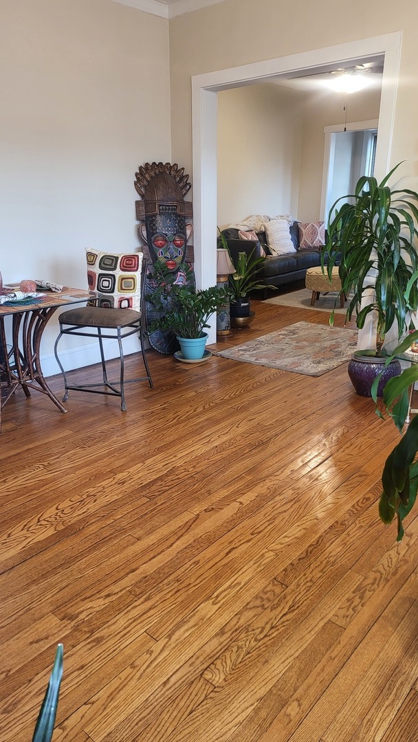 920 Wesley Avenue #1, Oak Park, IL 60304