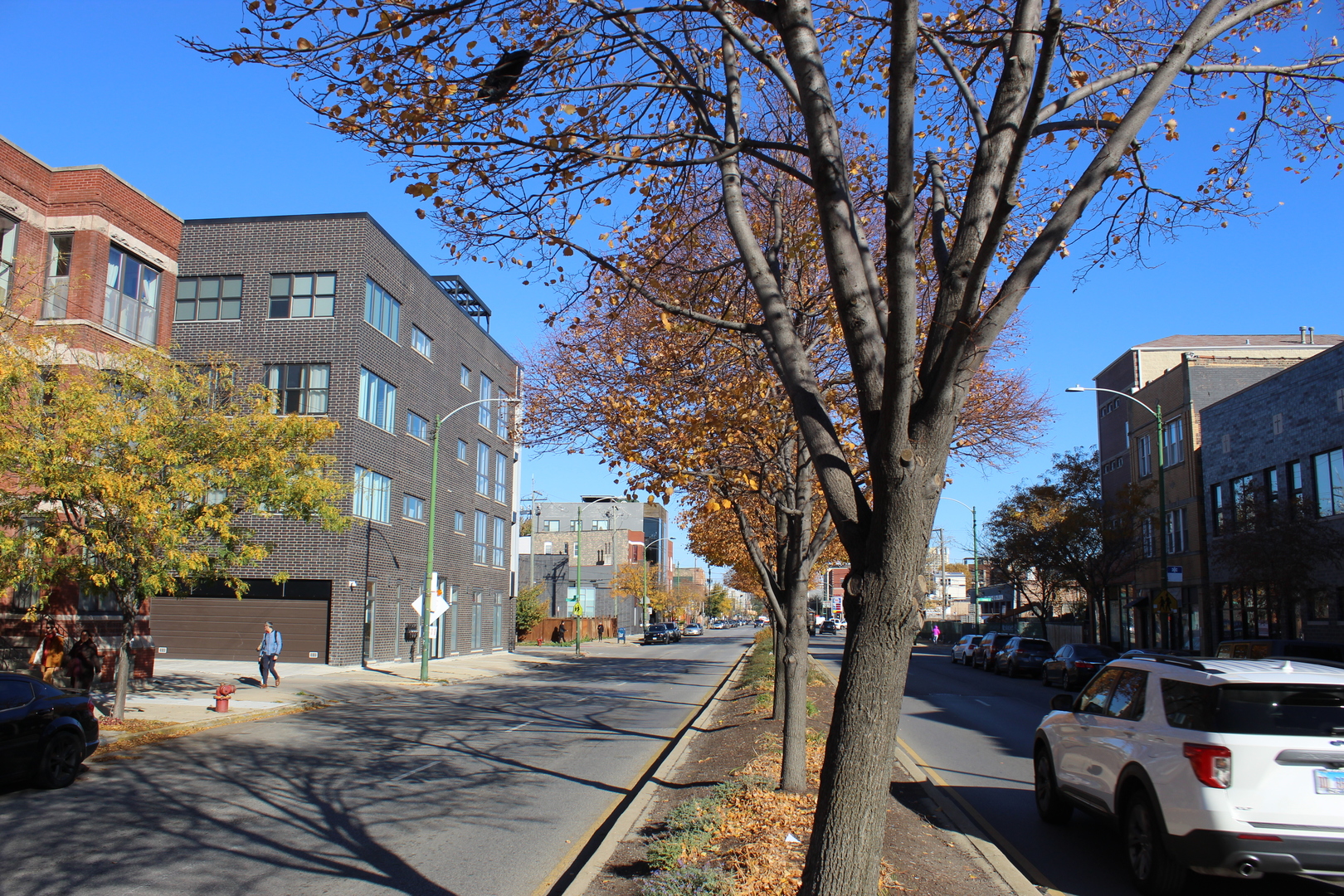 525-527 N Ashland Avenue, Chicago, IL 60622