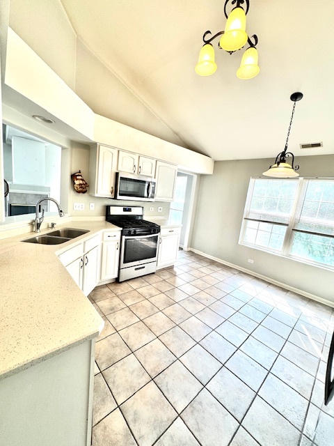 2866 Stonewater Drive, Naperville, IL 60564