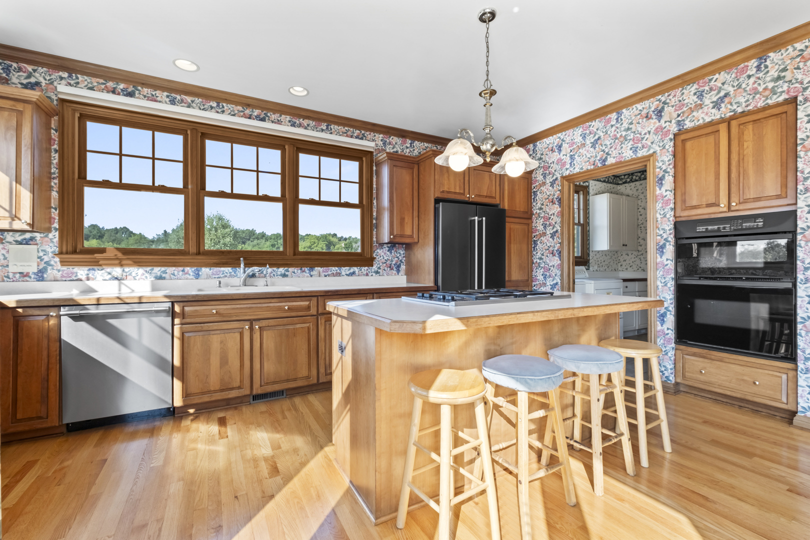 15785 N Gorham Lane, Wadsworth, IL 60083