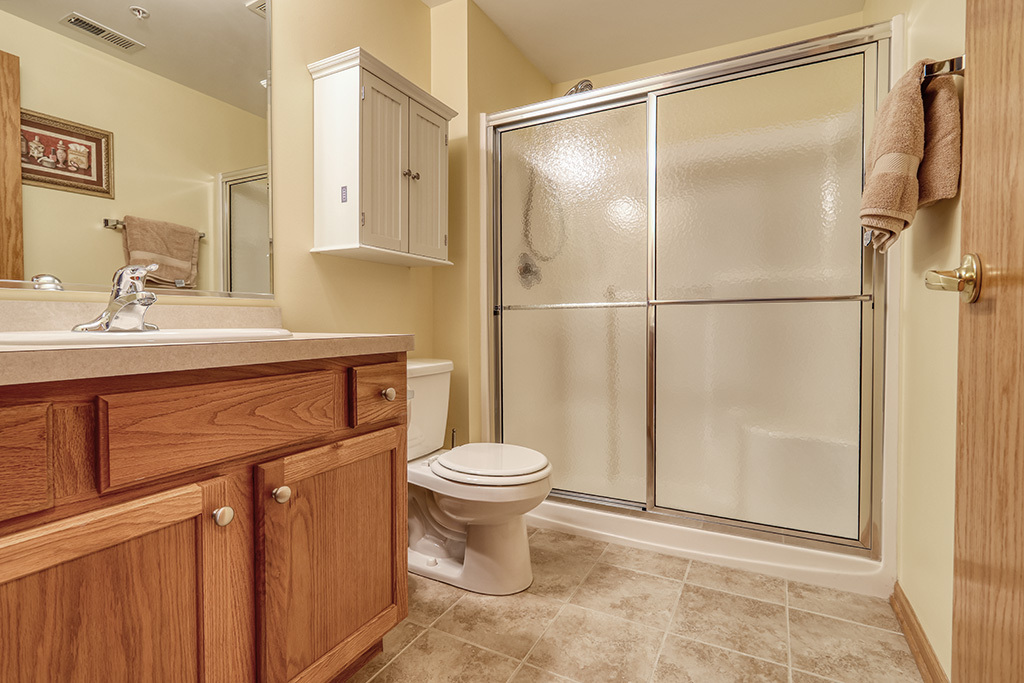 7716 GREENWAY Boulevard #1SW, Tinley Park, IL 60487