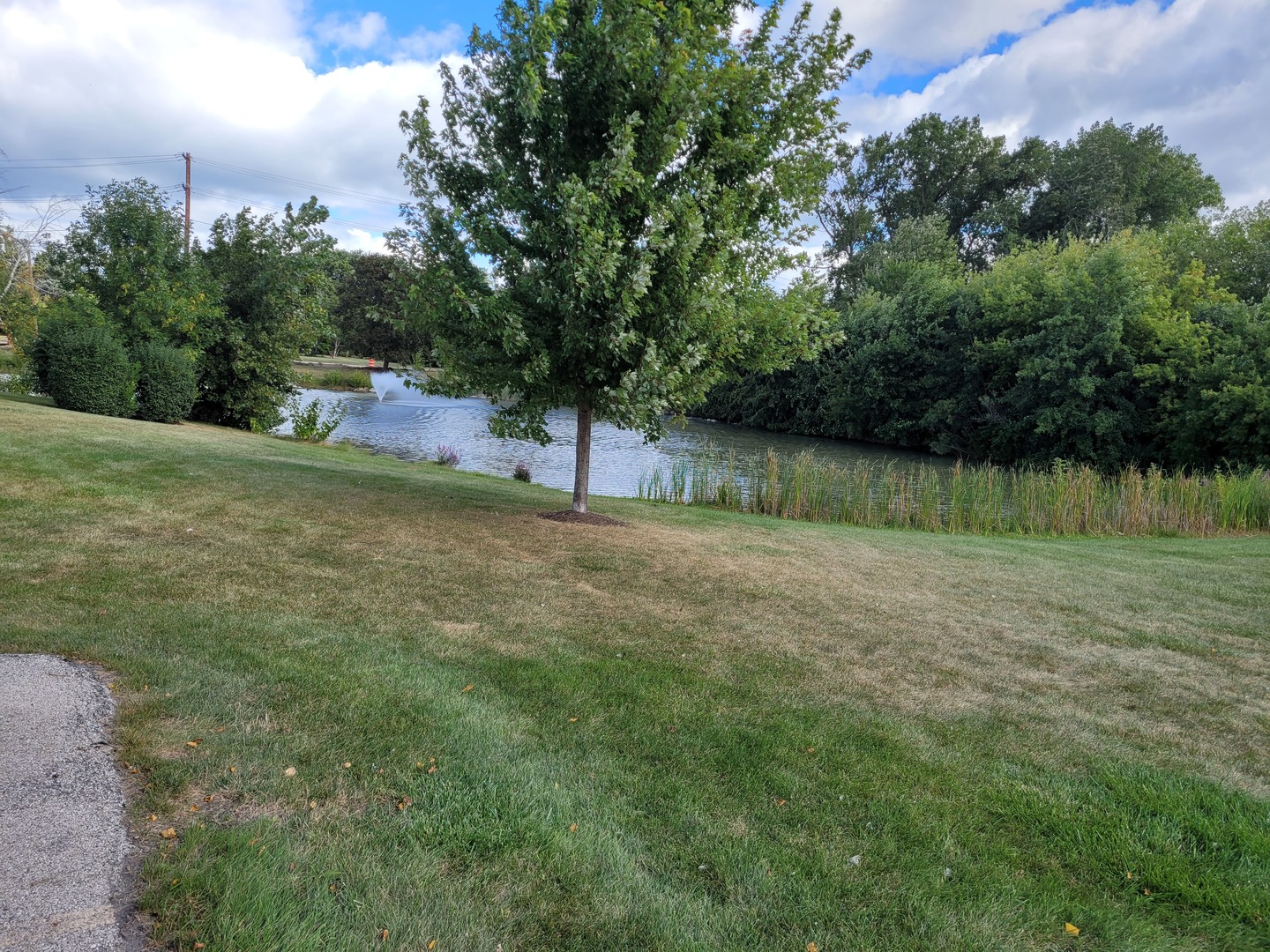 17404 W Walnut Lane #0, Gurnee, IL 60031