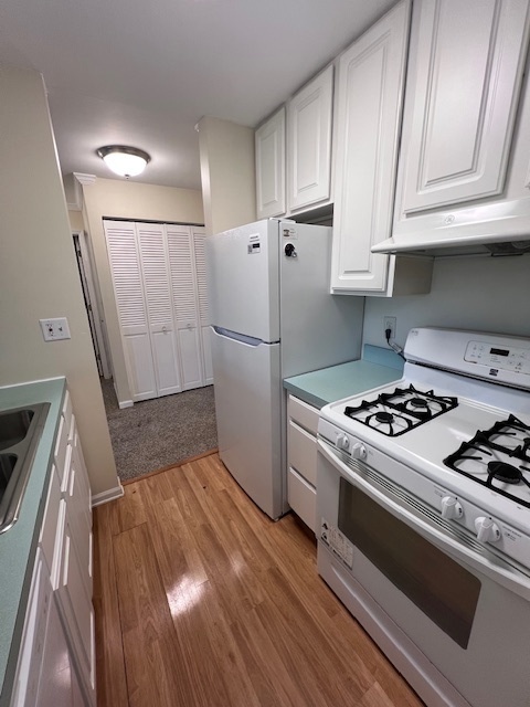 1895 Tall Oaks Drive #3502, Aurora, IL 60505