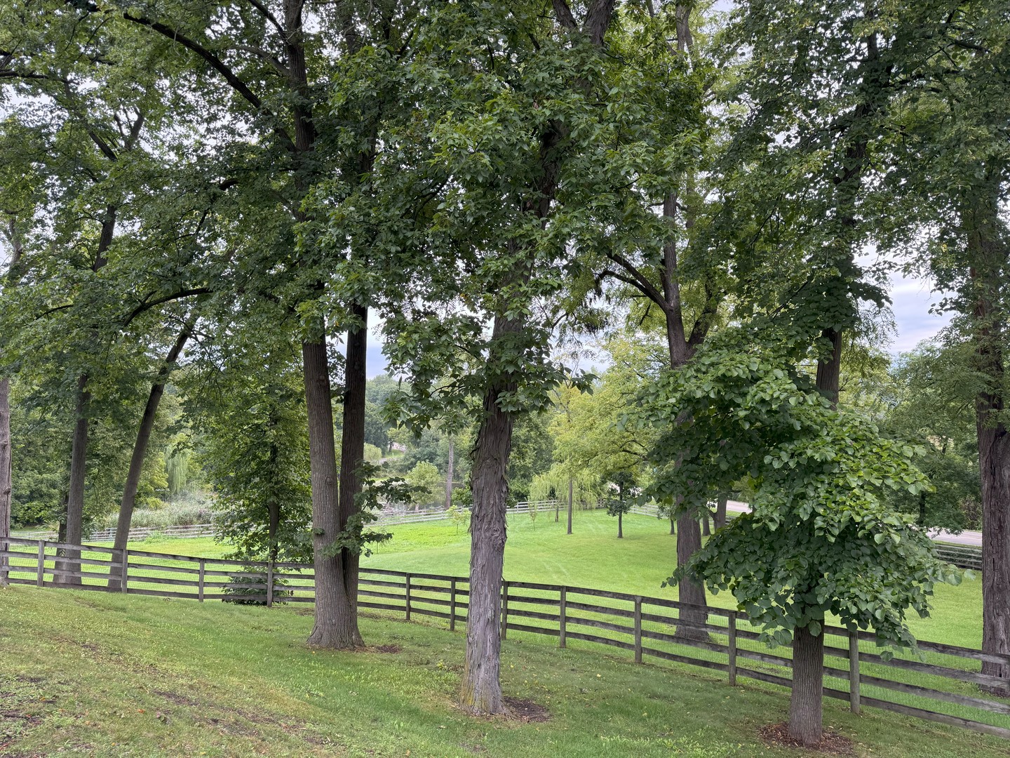 160J BATEMAN Road, Barrington Hills, IL 60010