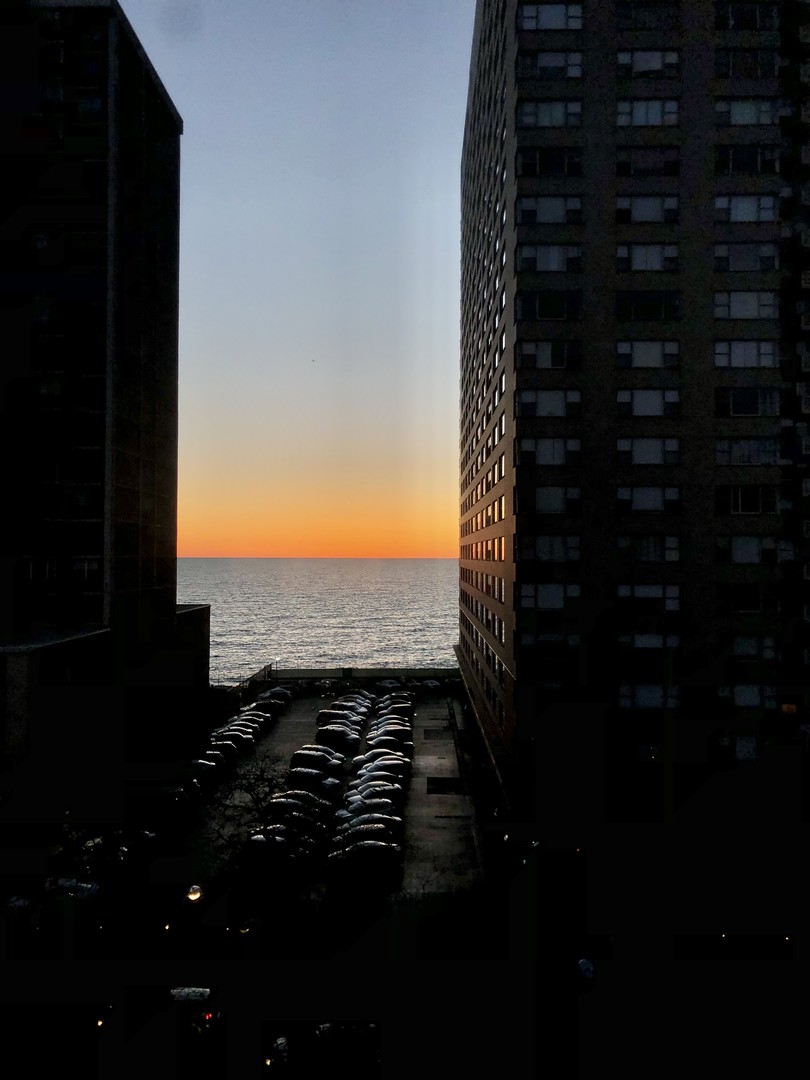 6300 N Sheridan Road #710, Chicago, IL 60660