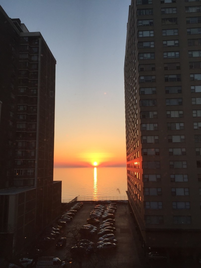 6300 N Sheridan Road #710, Chicago, IL 60660