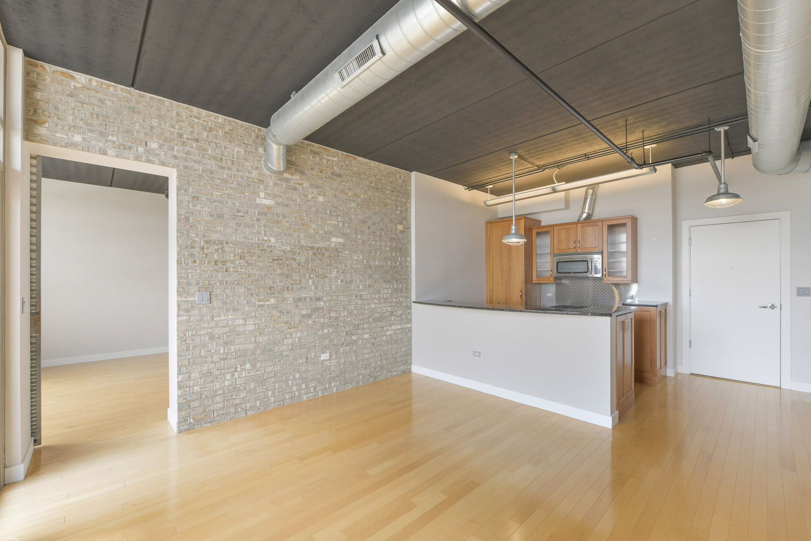 10 S Dunton Avenue #704, Arlington Heights, IL 60005