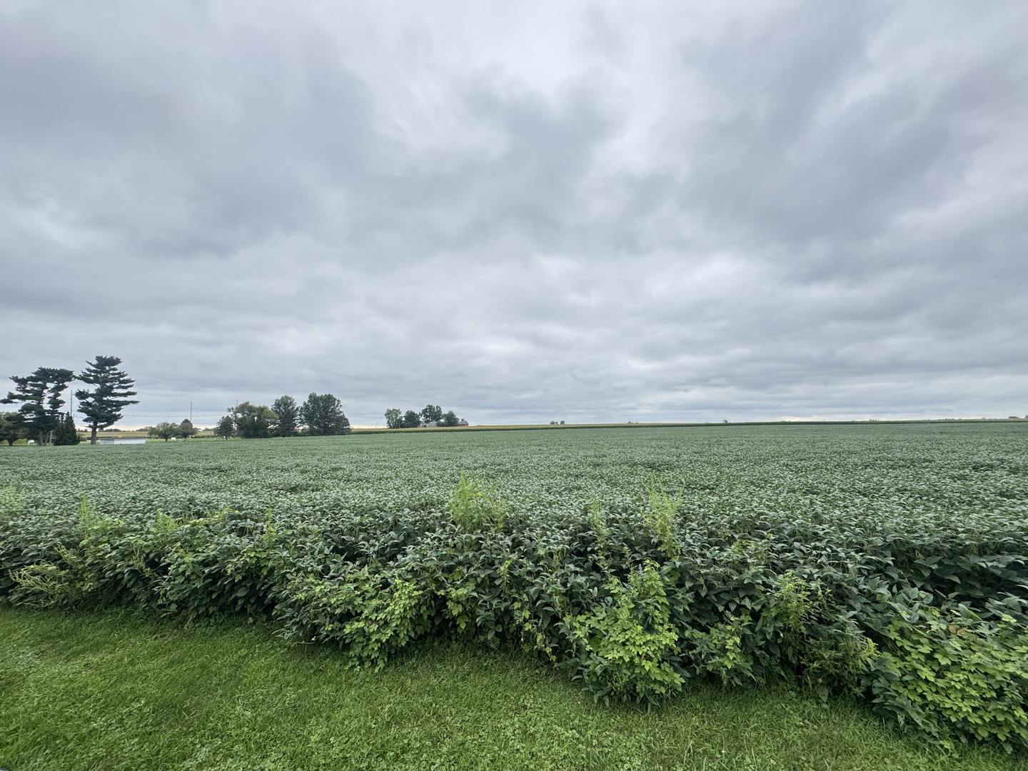 306 S 4th Street, Cherry, IL 61317