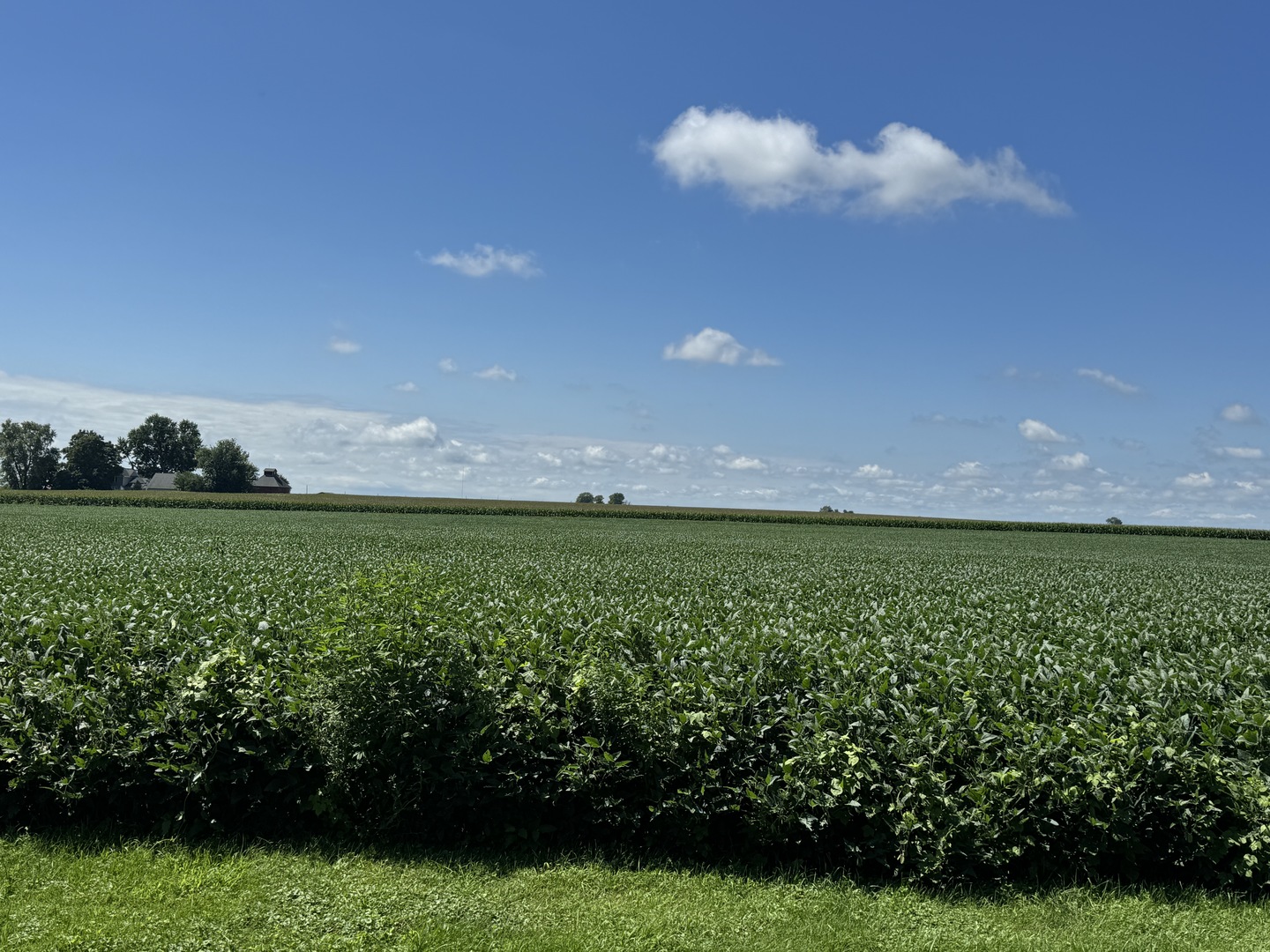 306 S 4th Street, Cherry, IL 61317