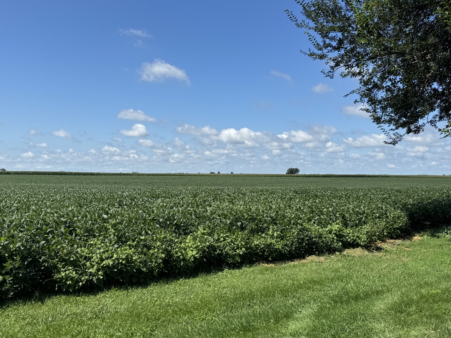 306 S 4th Street, Cherry, IL 61317