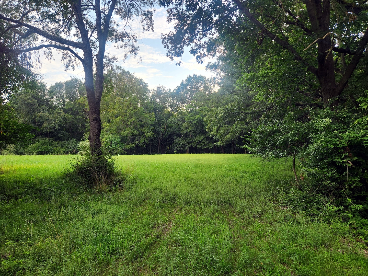 Lot 595 Cardinal Drive, Varna, IL 61375