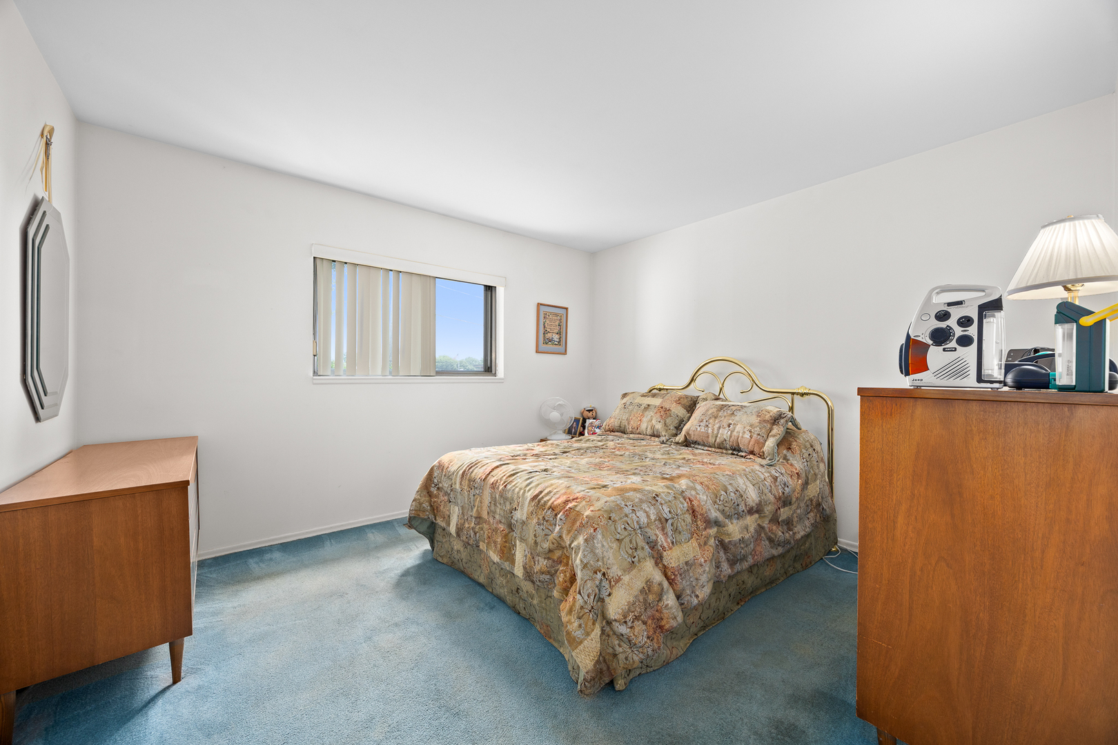 132 N Ashbury Avenue, Bolingbrook, IL 60440