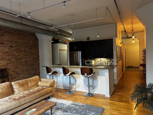 621 S Plymouth Court #210, Chicago, IL 60605