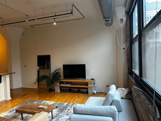 621 S Plymouth Court #210, Chicago, IL 60605