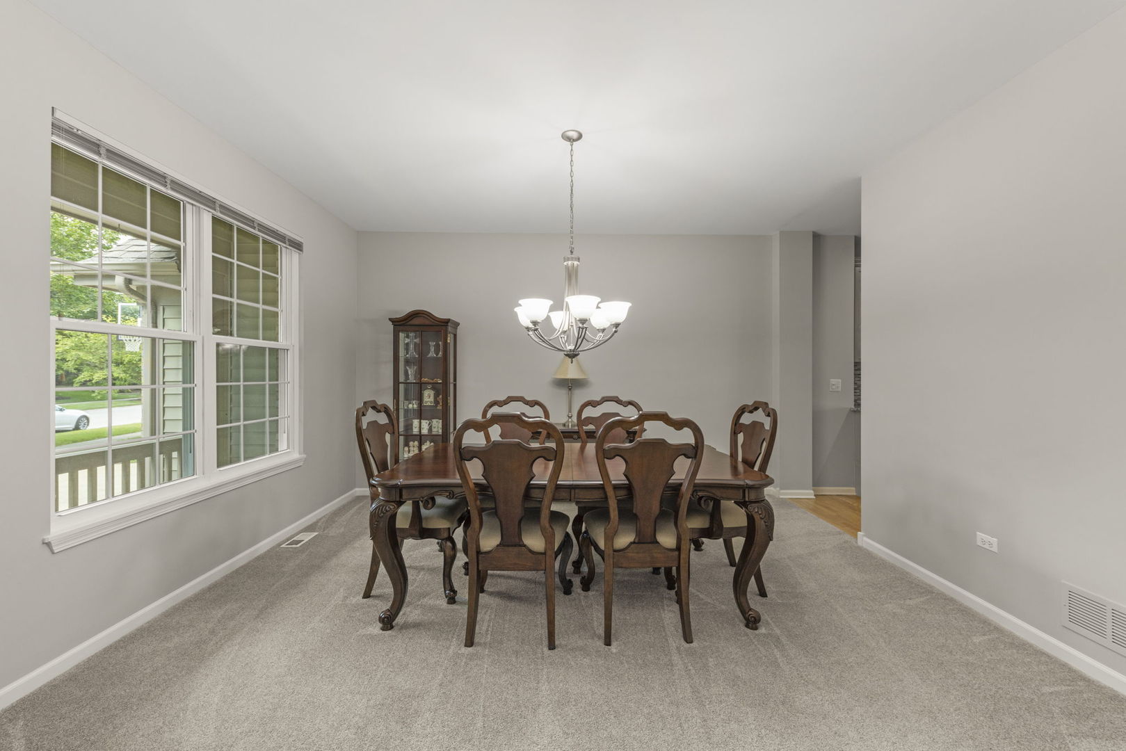 26115 Mapleview Drive, Plainfield, IL 60585