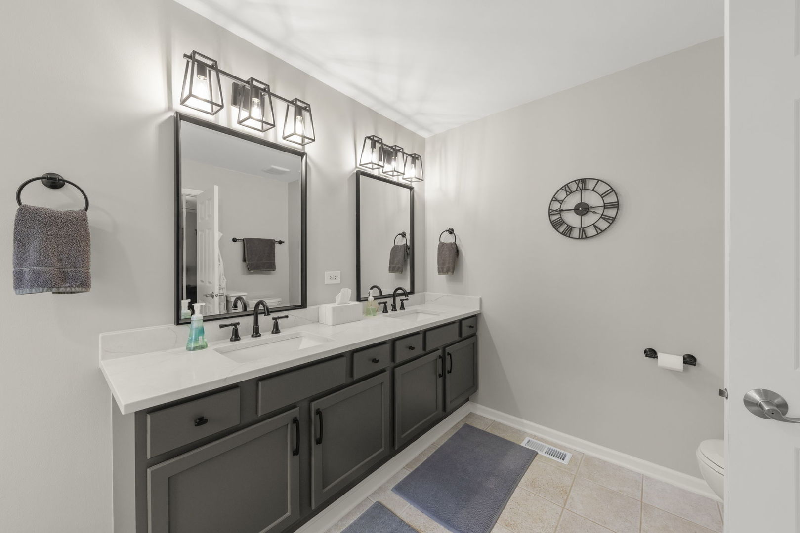 26115 Mapleview Drive, Plainfield, IL 60585