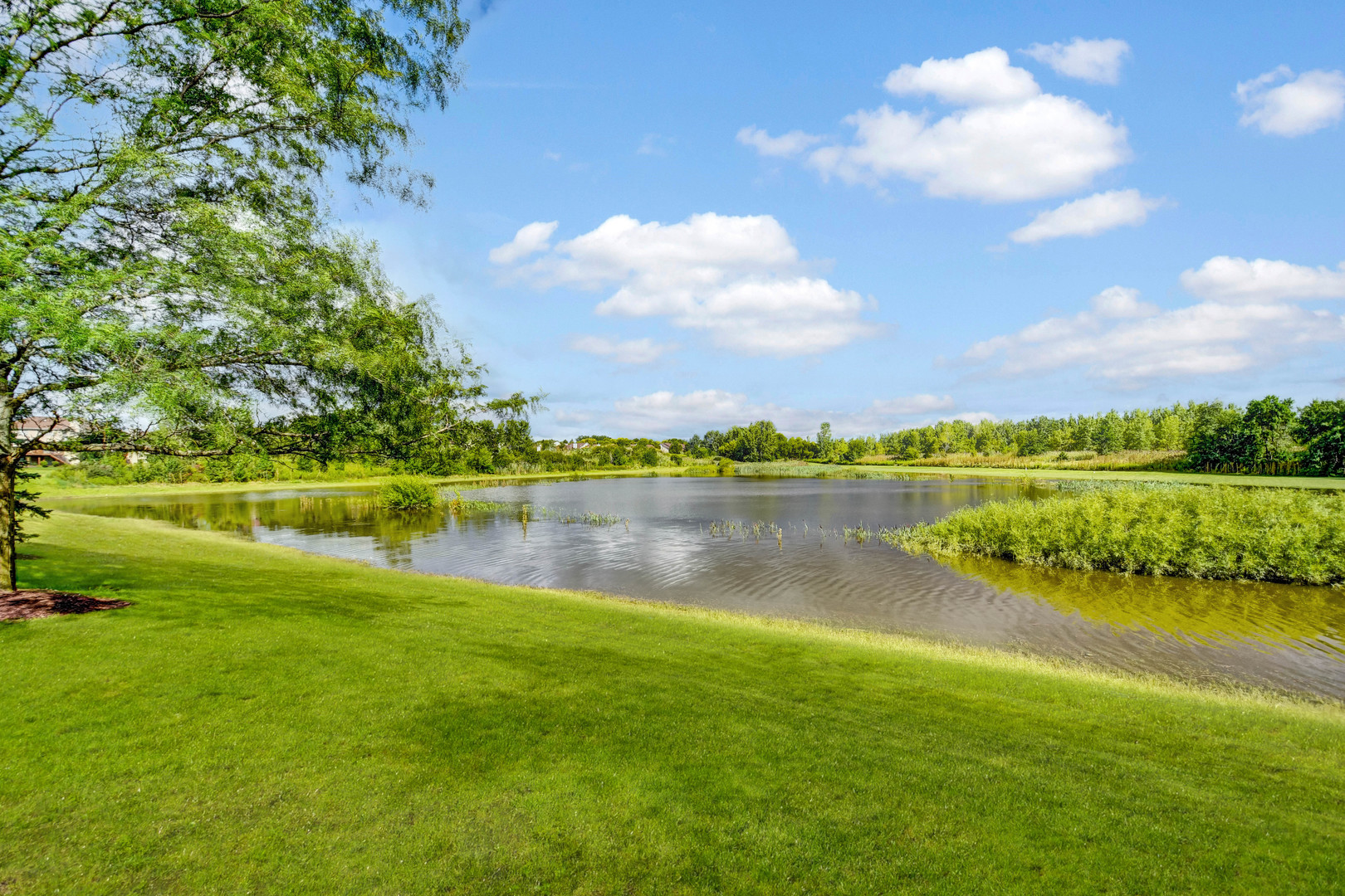 9116 Newcastle Court, Tinley Park, IL 60487