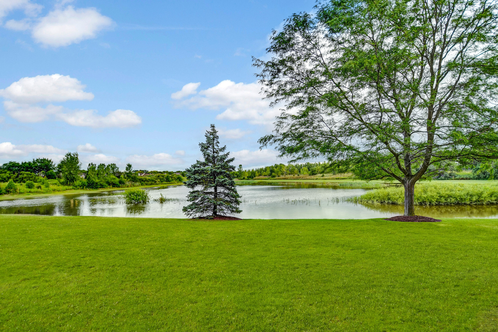 9116 Newcastle Court, Tinley Park, IL 60487