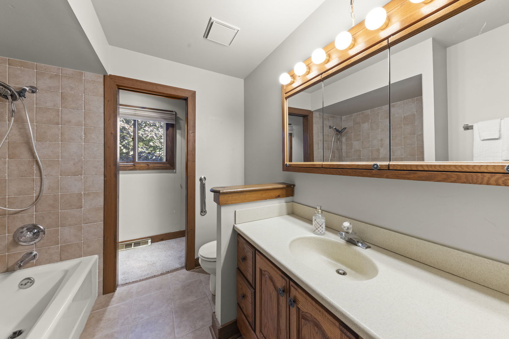 1135 Hidden Spring Drive, Naperville, IL 60540