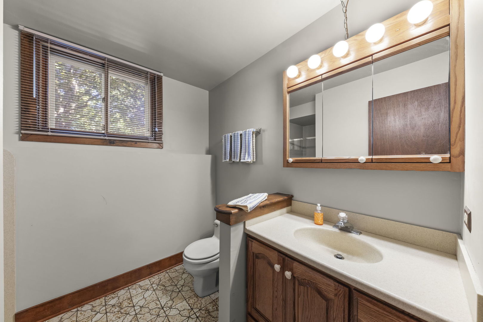1135 Hidden Spring Drive, Naperville, IL 60540
