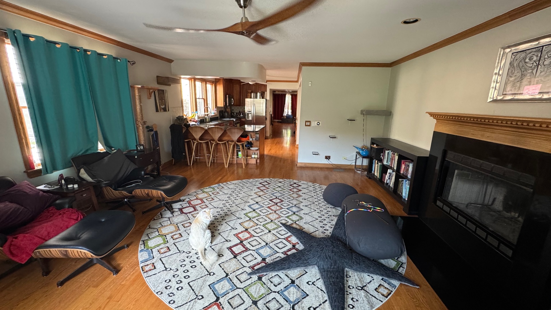 5338 N Ashland Avenue, Chicago, IL 60640