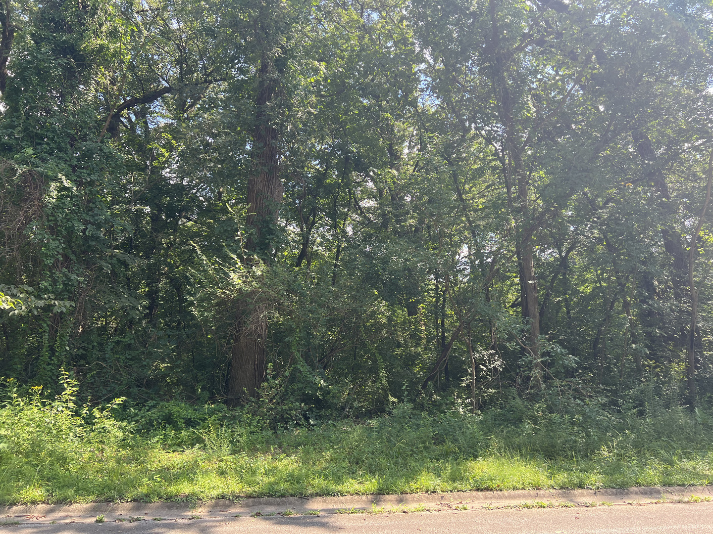 14455 W Wallingford Trail, Manhattan, IL 60442