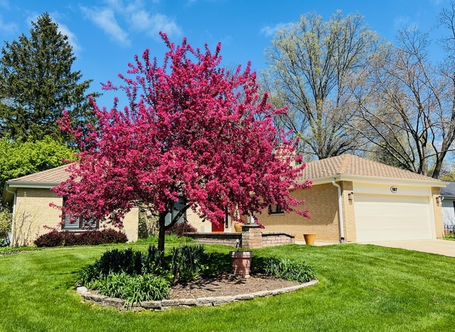 187 E Thompson Drive, Wheaton, IL 60189
