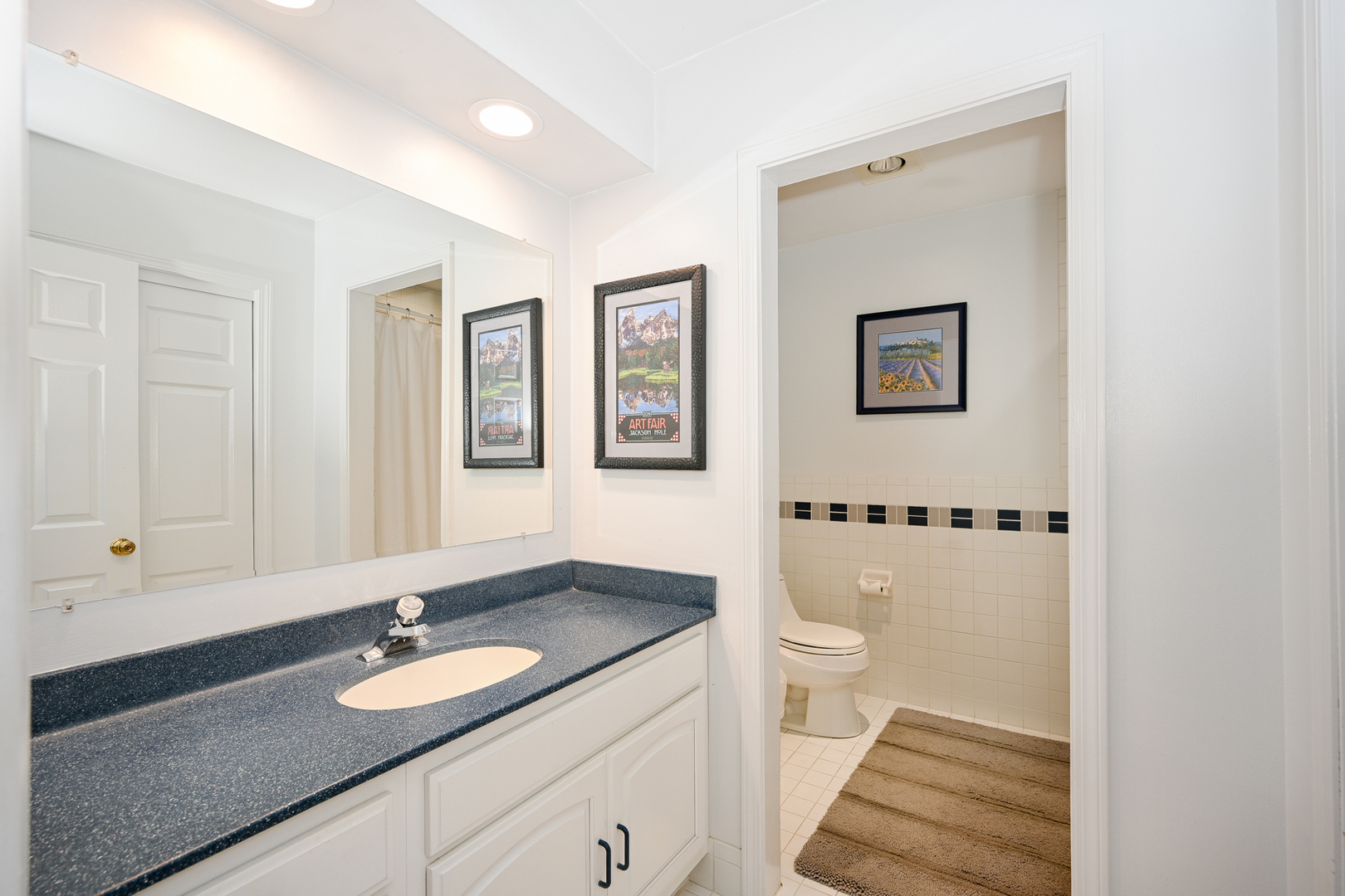 187 E Thompson Drive, Wheaton, IL 60189