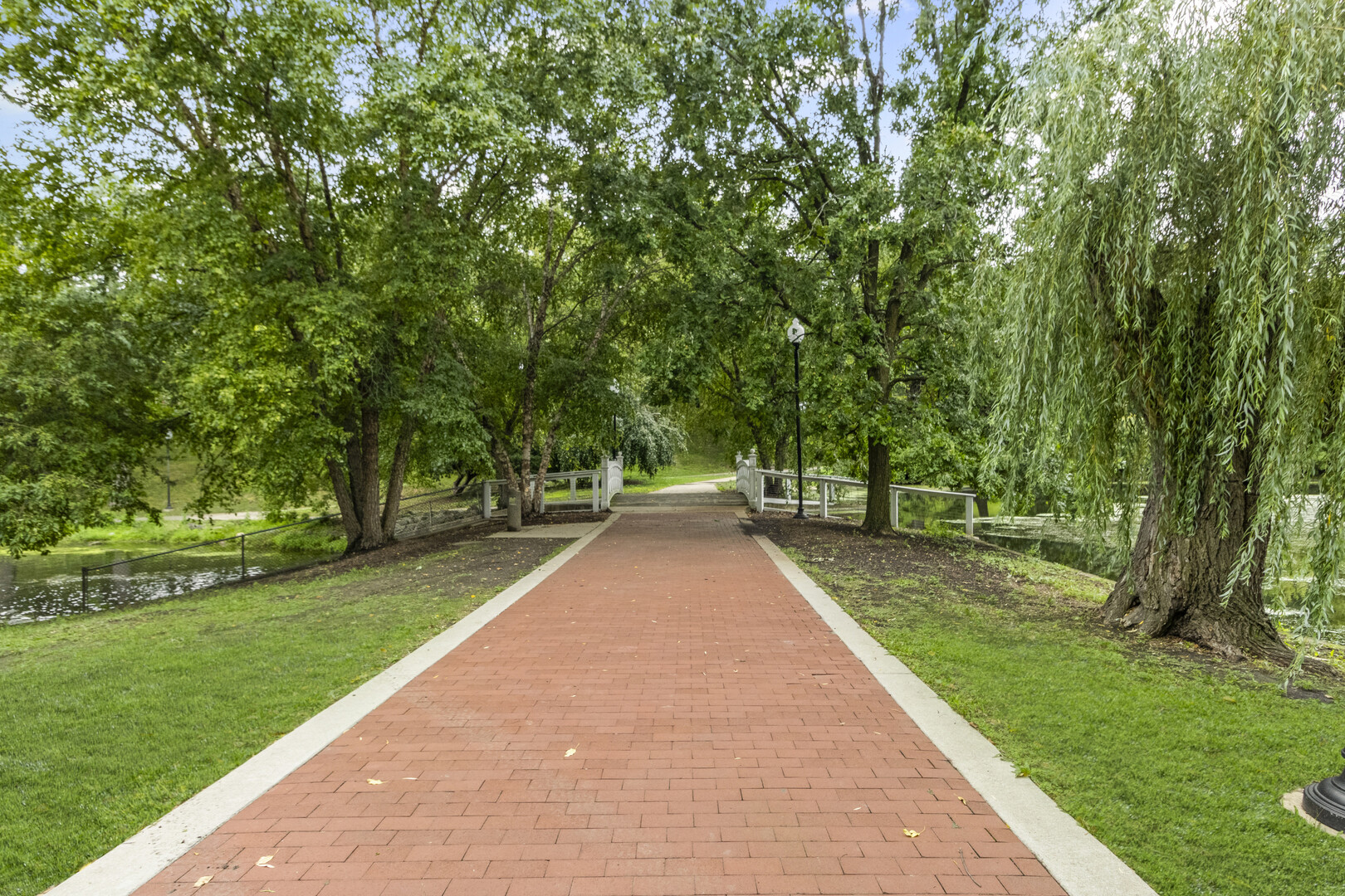 102 S Liberty Street #3, Elgin, IL 60120