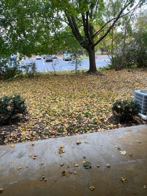 841 Cross Creek Court #A, Roselle, IL 60172
