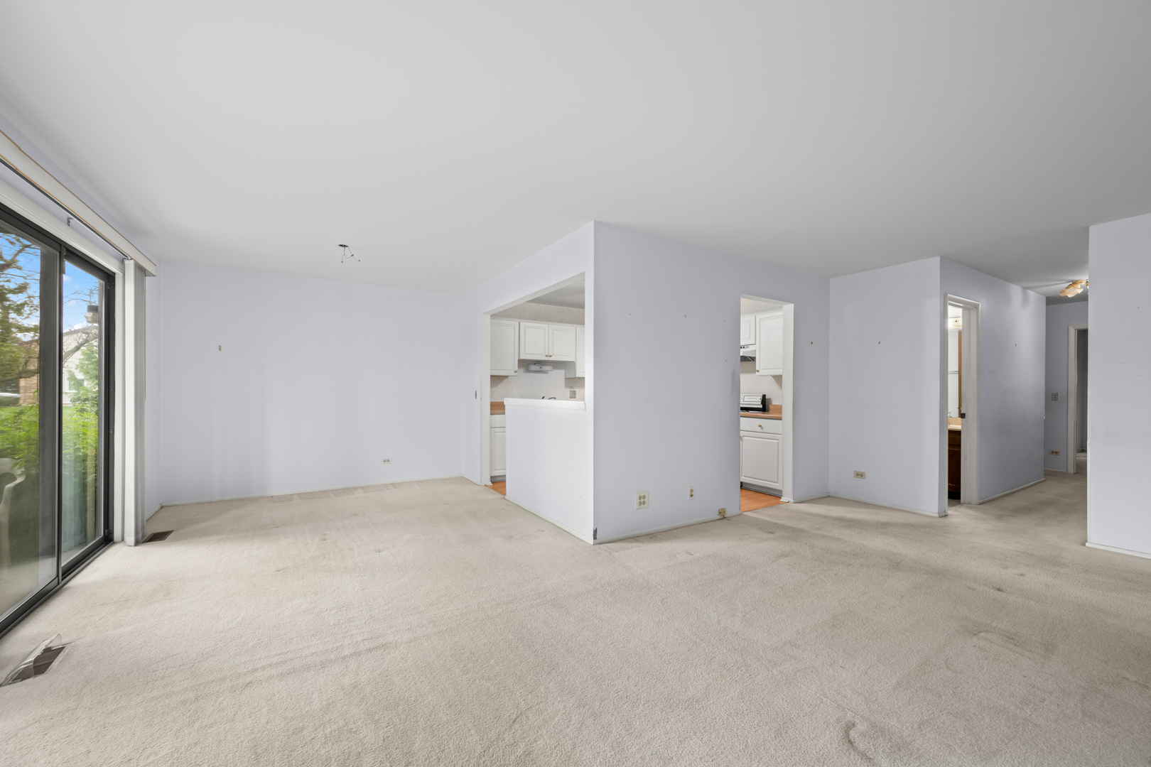 1542 Springview Court #B1, Wheeling, IL 60090