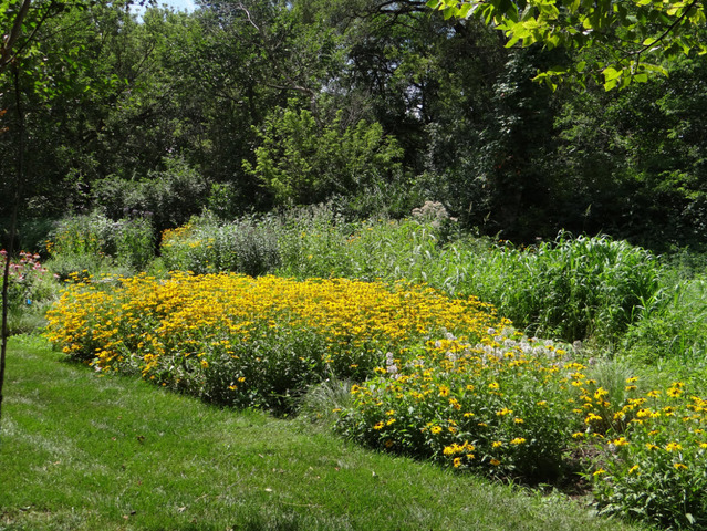 215 Wildflower Lane, La Grange, IL 60525