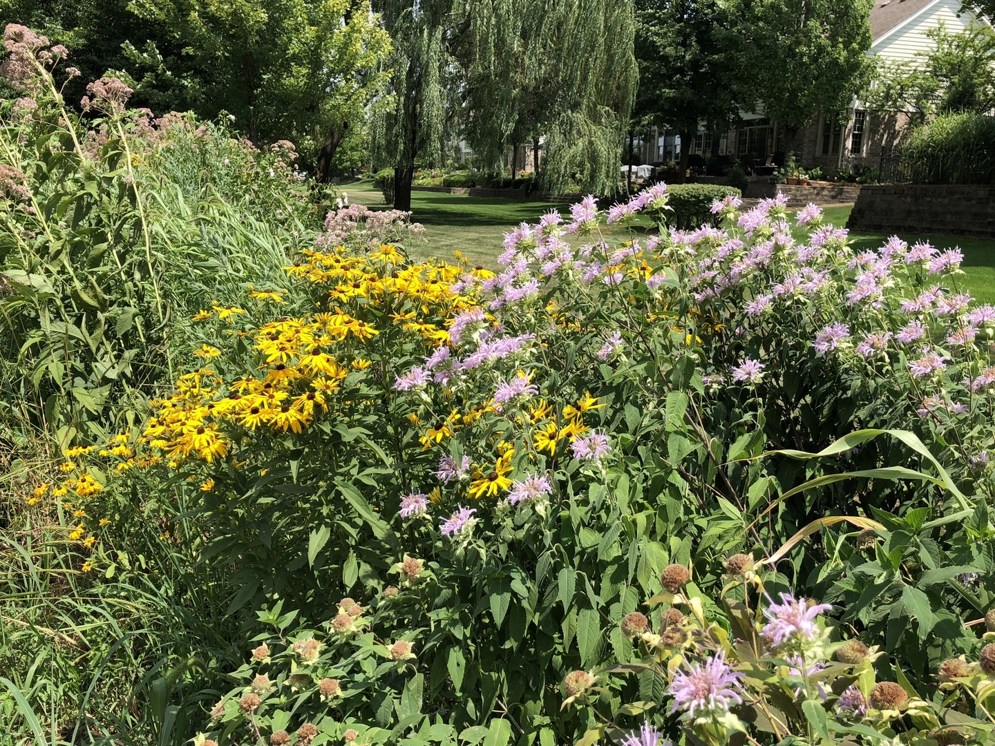 215 Wildflower Lane, La Grange, IL 60525