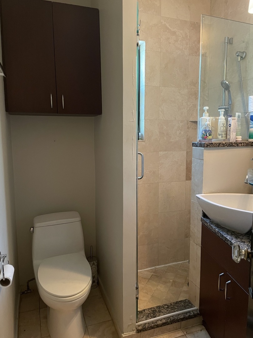1856 N Lincoln Avenue #1, Chicago, IL 60614
