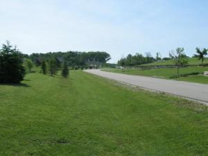 8952 Wilcox Court, Newark, IL 60541