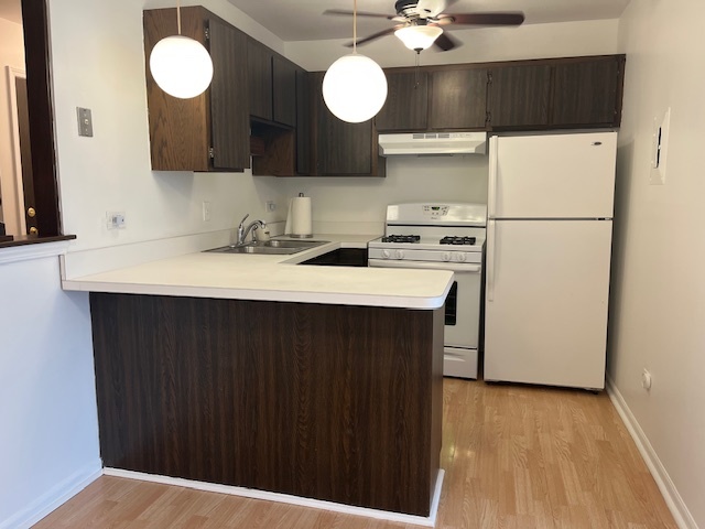 5733 W 103rd Street #1W, Oak Lawn, IL 60453
